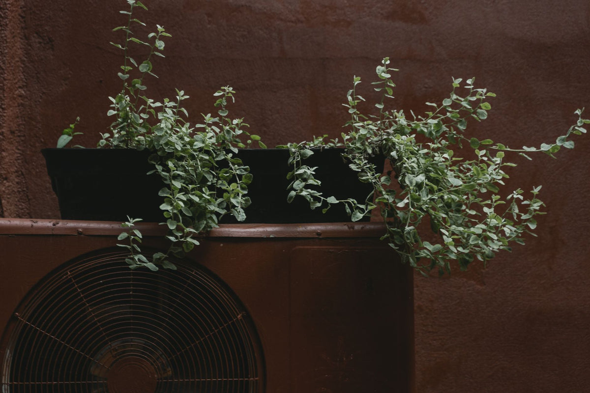 Outdoor air conditioner unit with potted plants on top